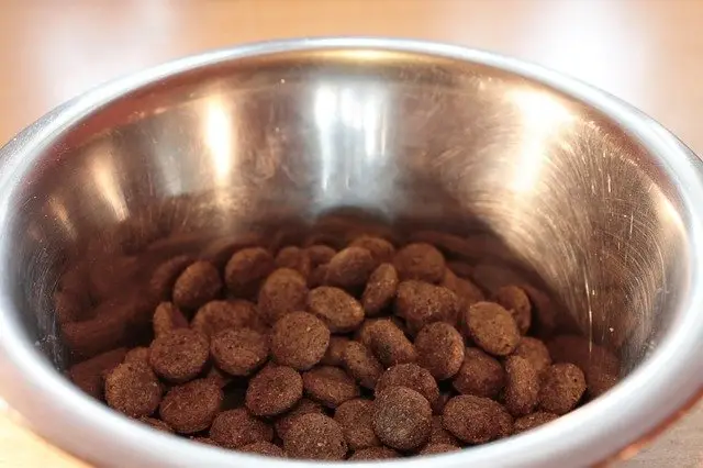 Most dog foods look alike—Until you peer behind the label!