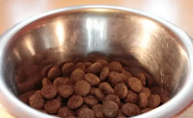 Most dog foods look alike—Until you peer behind the label!